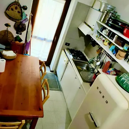 Adoro * 圣特奥多罗